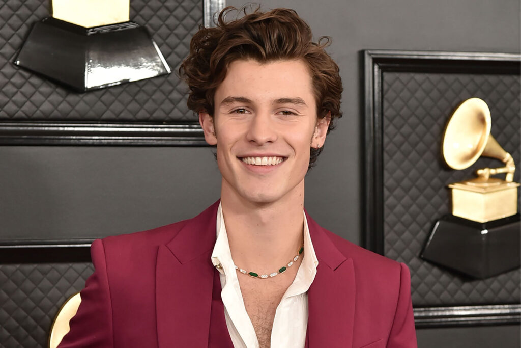shawn mendes 1