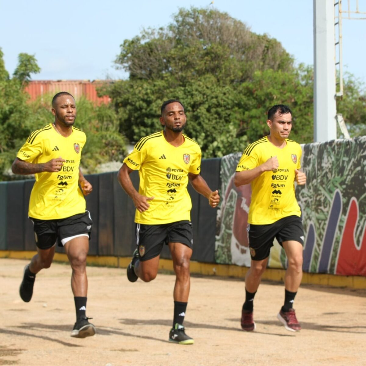 Vinotinto Futsal