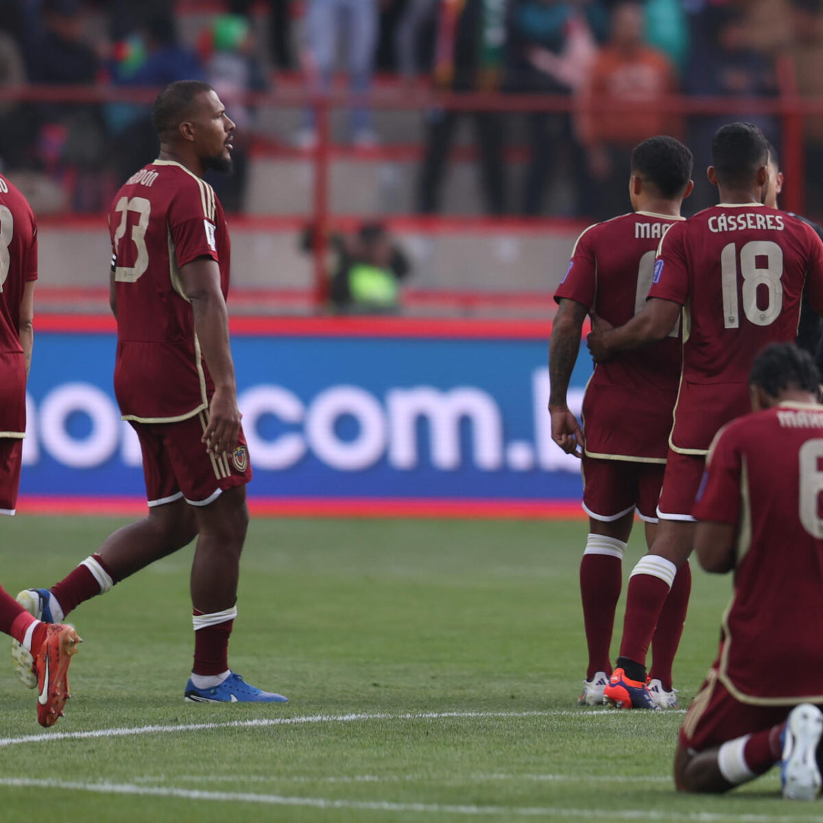 Vinotinto