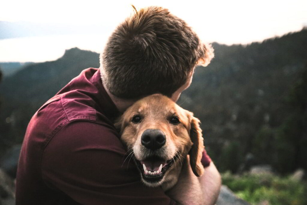 Mucho fitness y full diversión: Beneficios de entrenar con tu mascota 2 eric ward ISg37AI2A s unsplash