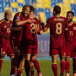 Vinotinto