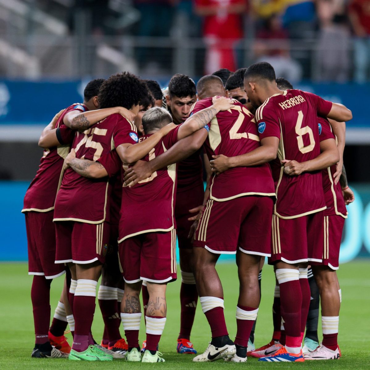 Vinotinto - Archivo