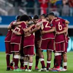Vinotinto - Archivo