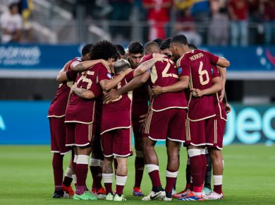 Vinotinto - Archivo