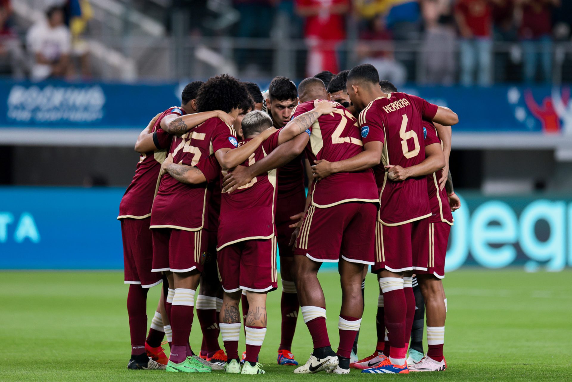 Vinotinto - Archivo