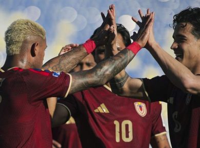 FVF - Vinotinto