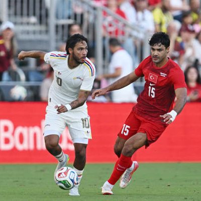 Vinotinto - Telasco Segovia