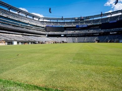 MetLife Stadium - césped - Mundial 2026