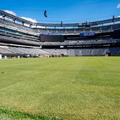 MetLife Stadium - césped - Mundial 2026