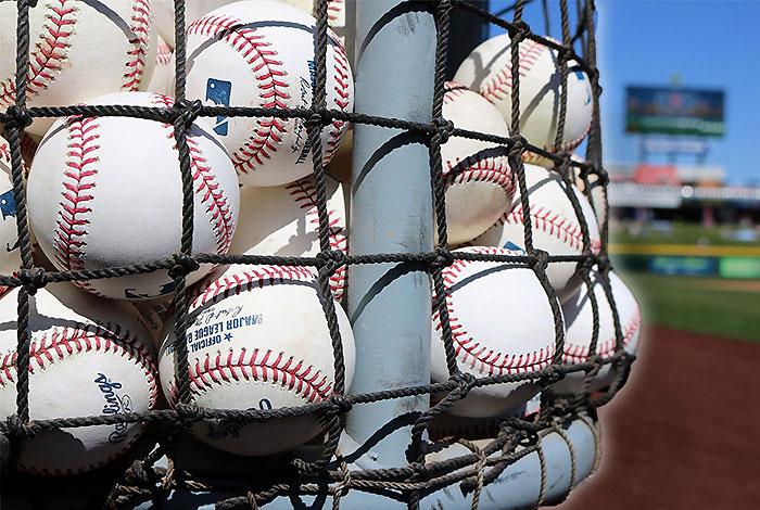 pelotas - MLB