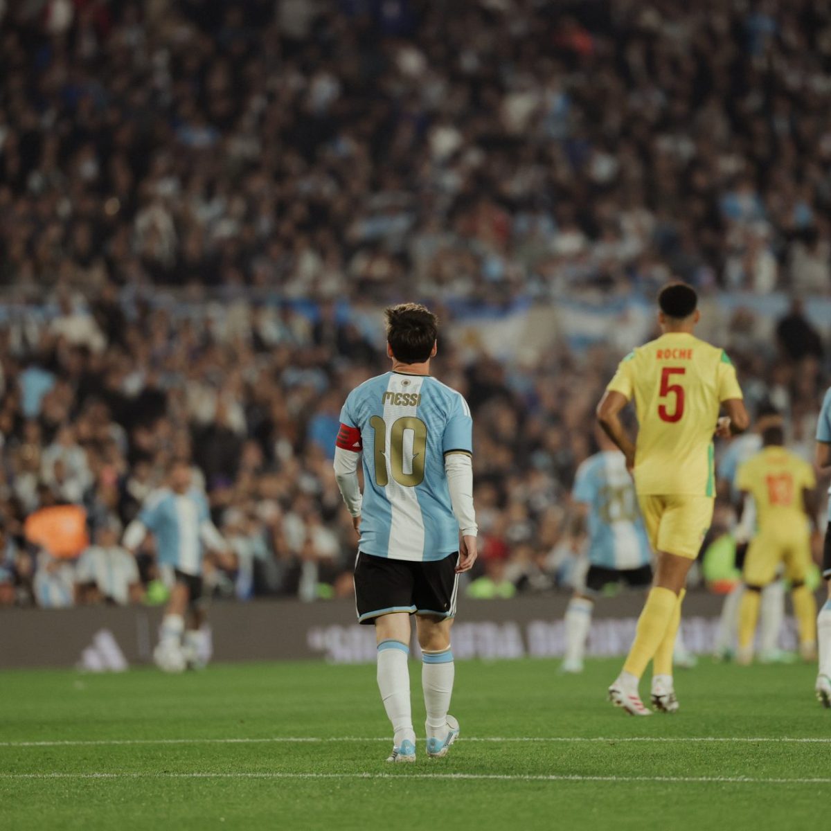 Lionel Messi - Argentina - Albiceleste